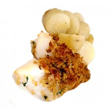 Orange Roughy Fillets