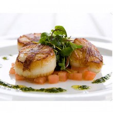 U 10 Canadian Sea Scallops