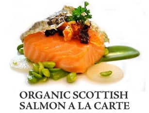 Scottish Salmon Fillets